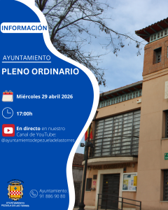 Pleno Ordinario. 29 de abril de 2026